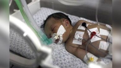gaza and who