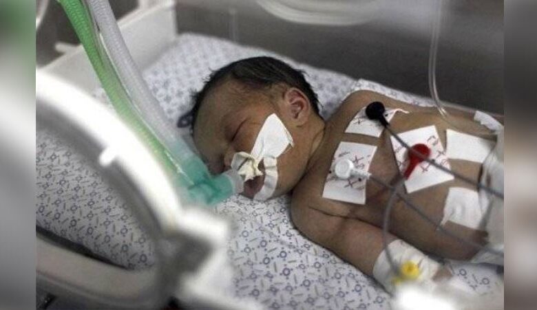 gaza and who