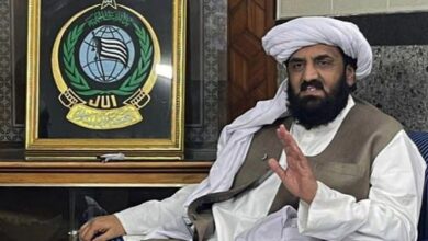 hafiz hamdullah