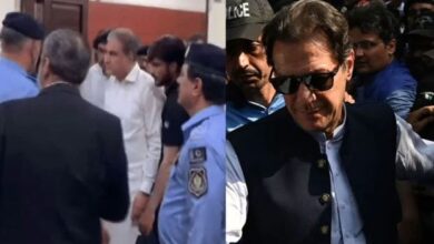 imran khan and shah mehmood qurashi