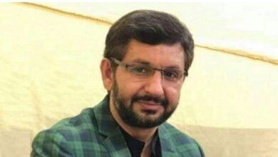 journalist ,saleem safi