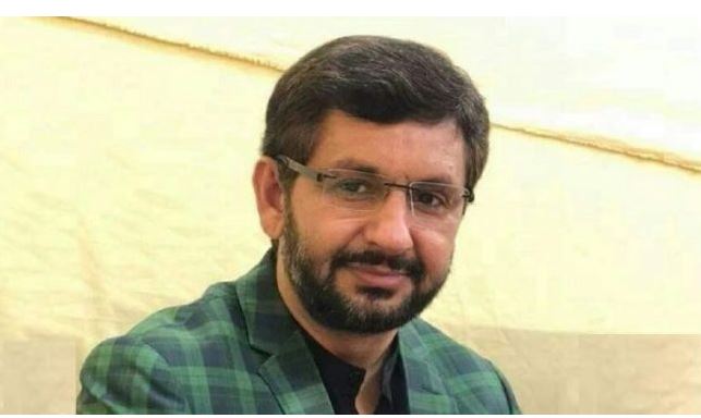 journalist ,saleem safi