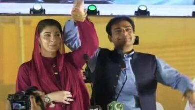 maryam nawaz and hamaz shahbaz shaking hand