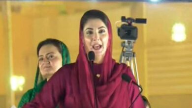 maryam nawaz in jalsa