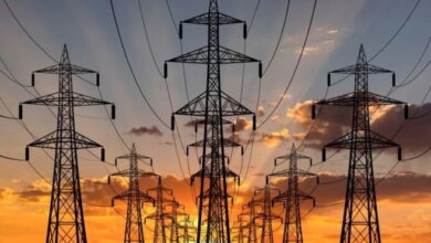 nawaz sharif and shahbaz sharif