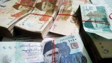 pakistani loan increase