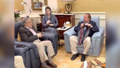 pmln biania