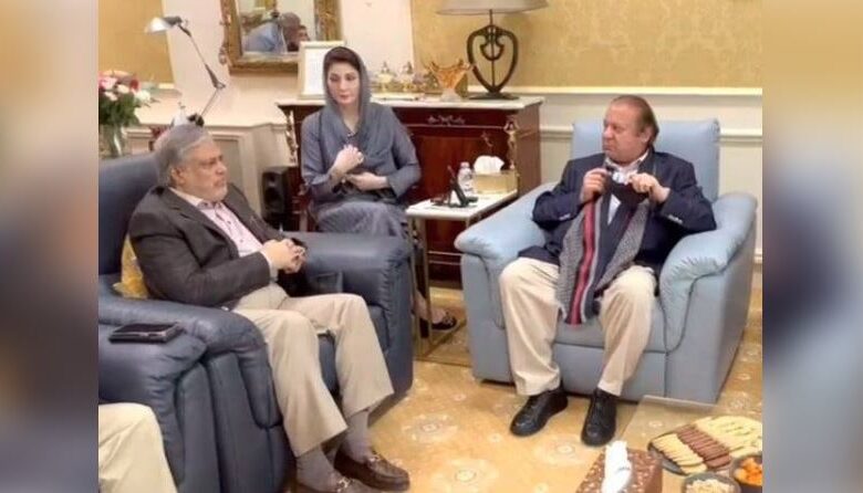 pmln biania
