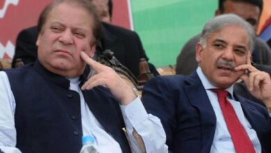 shahbaz sharif and nawaz sharif