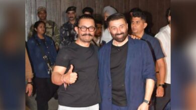 sunny deol and amir khan