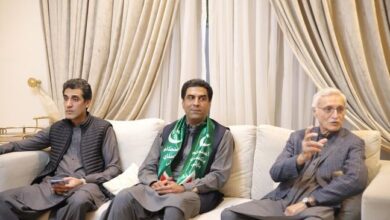 ali nawaz awan in ipp