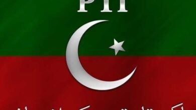 flag of pti
