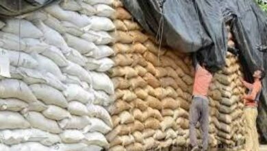 flour govt price