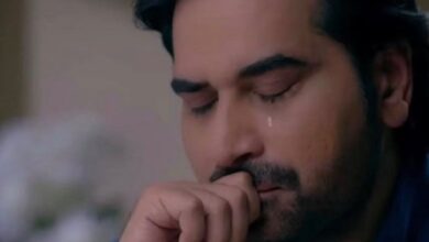 humayun saeed