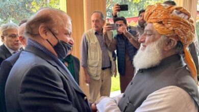 nawaz sharif and fazal ur rehman meeting