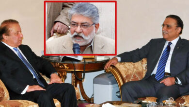 nawaz sharif, zardari and peer paghara