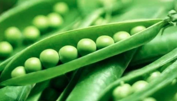 pea