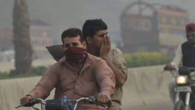 smog in punjab