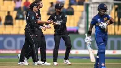 target for newze land