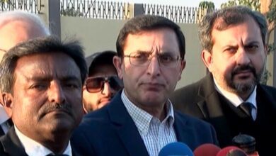 chairman pti gohar khan