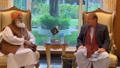 nawaz sharif and fazal ur rehman meeting
