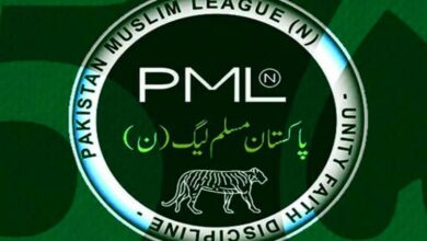 pmln