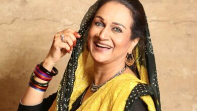 actress bushra ansari