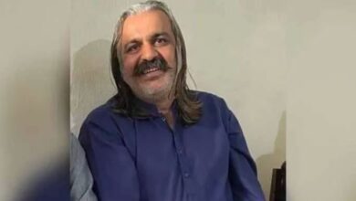 ali ameen gandapure
