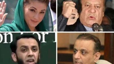 ata tara,aleem khan,nawaz sharief,maryam