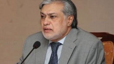 ishaq dar