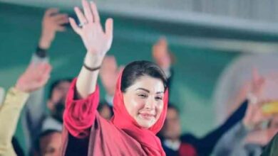 maryam nawaz social media