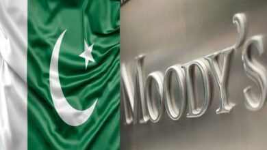 moody's report