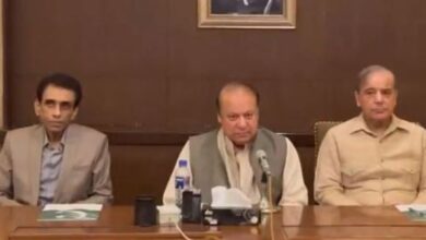 mqm,pmln