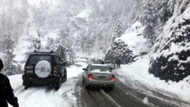 muree