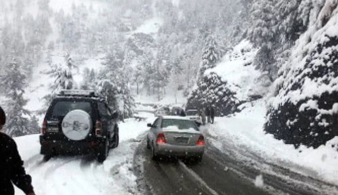 muree