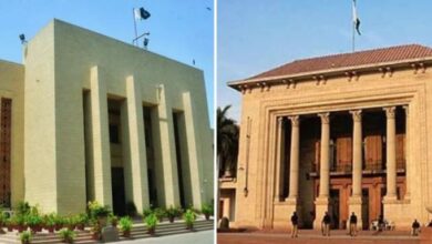 punjab assembly and sindh assembly