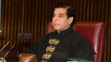 raja pervaiz ashraf