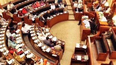 sindh assembly
