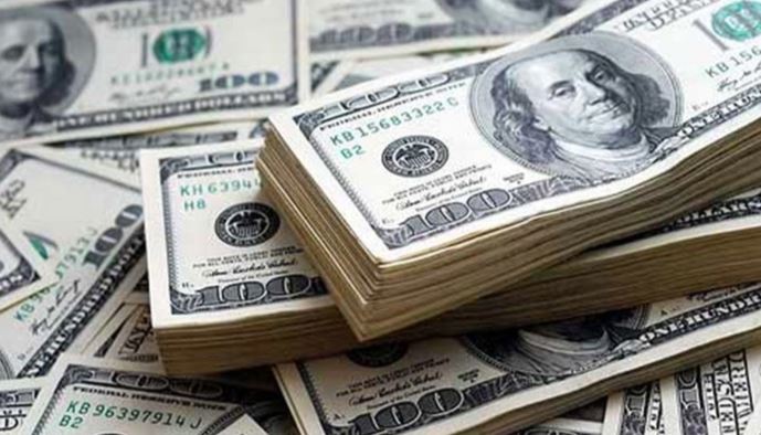 Domestic foreign exchange reserves