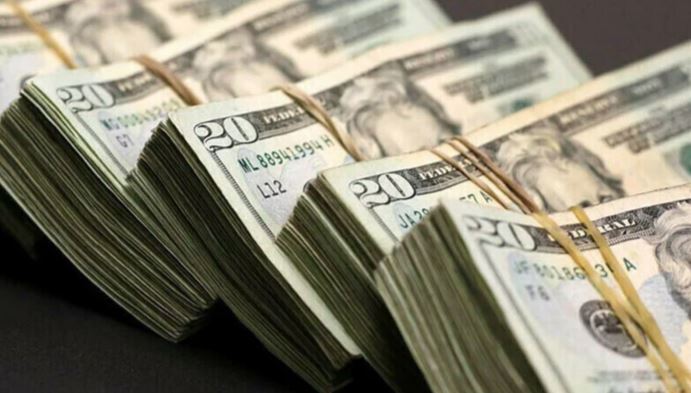 Domestic foreign exchange reserves