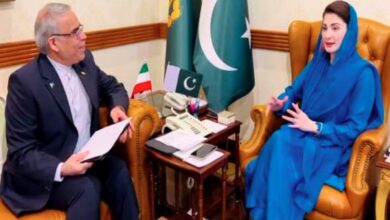 Meeting of Iranian Consul General with Chief Minister Punjab Maryam Nawaz