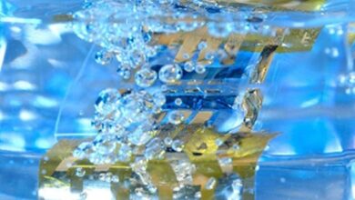 New organic photo voltaic film