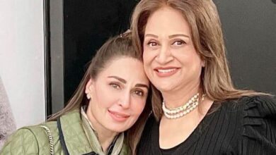 actress bushra ansari