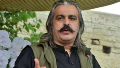 ali ameen gandapur