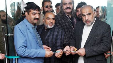 asad qaiser and ali amin gandapur