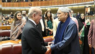 asif ali zardari,pm shebaz sharief
