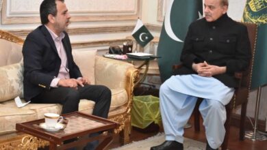 awais laghari,pm shebaz sharief