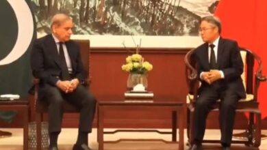 china deligation meet with shahbaz sharif
