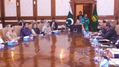 cm maryam nawaz in meeting