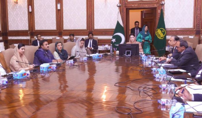 cm maryam nawaz in meeting
